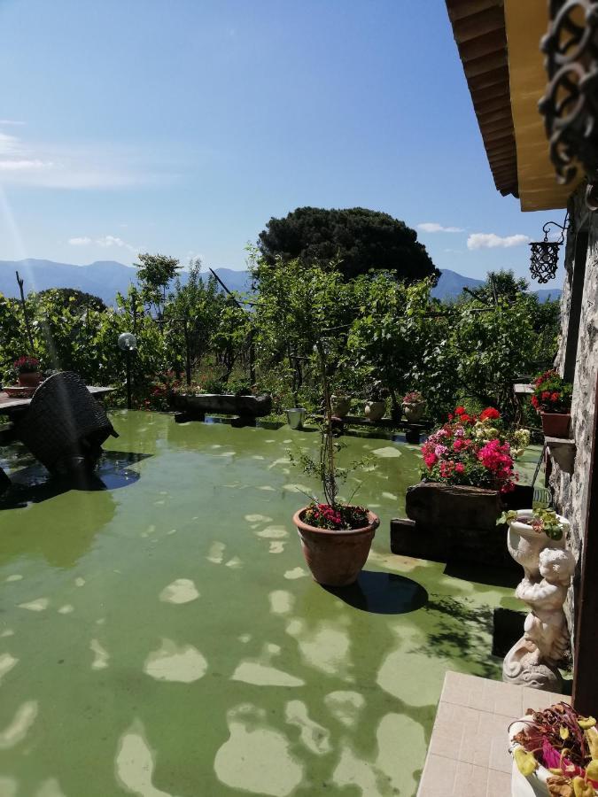 Pietramiliare Apartment Trecase Exterior photo